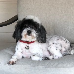 Meet your Posher, Louise g